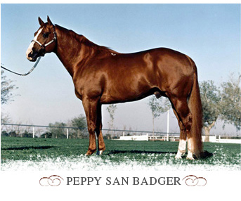 http://www.bedonna.com/PeppySanBadger2.jpg
